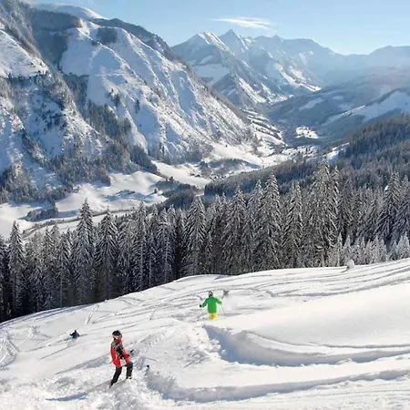 Steier Huette Chalet Donnersbachwald