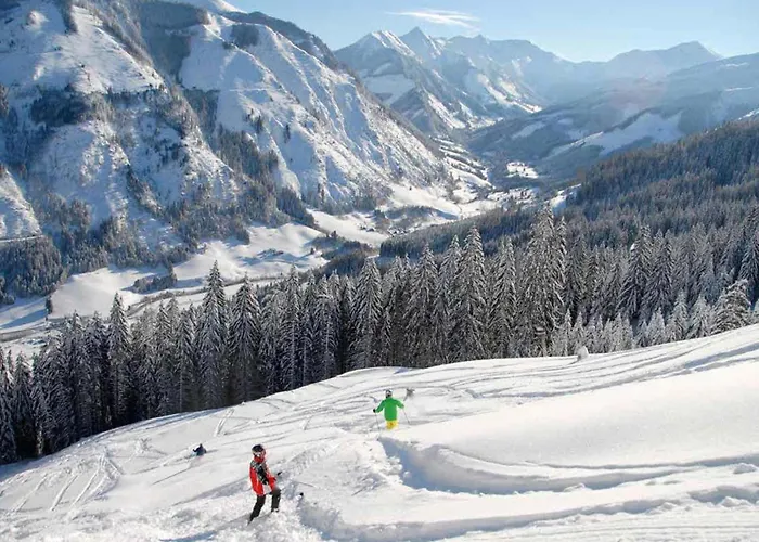 Steier Huette Chalet Donnersbachwald